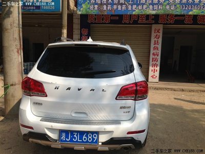 二手哈弗H6与鱼病防治 跨界教程的实用启示